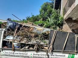 Best Furniture Removal  in Wilson, AR