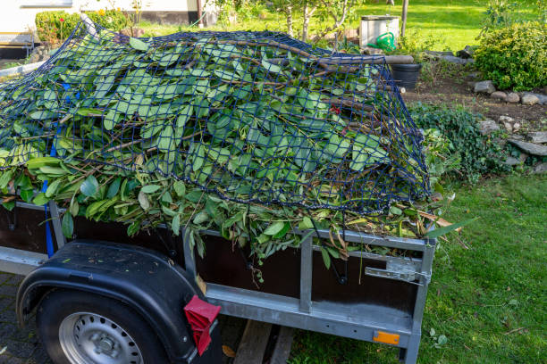 Best Shed Removal  in Wilson, AR